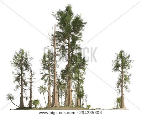 Forest Of The Mesozoic Era Isolated On White Background 3d Illustration