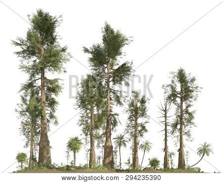 Forest Of The Mesozoic Era Isolated On White Background 3d Illustration