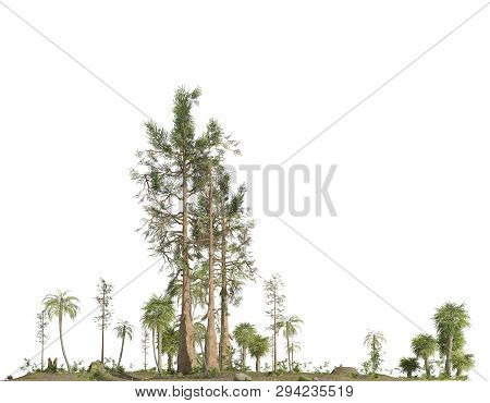 Forest Of The Mesozoic Era Isolated On White Background 3d Illustration