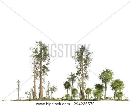 Forest Of The Mesozoic Era Isolated On White Background 3d Illustration