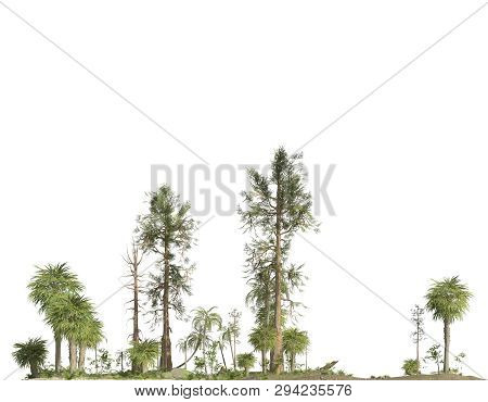 Forest Of The Mesozoic Era Isolated On White Background 3d Illustration