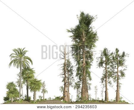 Forest Of The Mesozoic Era Isolated On White Background 3d Illustration