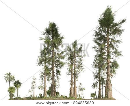 Forest Of The Mesozoic Era Isolated On White Background 3d Illustration