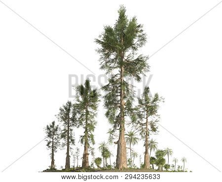 Forest Of The Mesozoic Era Isolated On White Background 3d Illustration