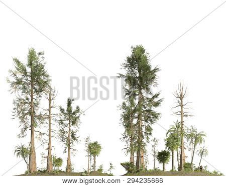 Forest Of The Mesozoic Era Isolated On White Background 3d Illustration