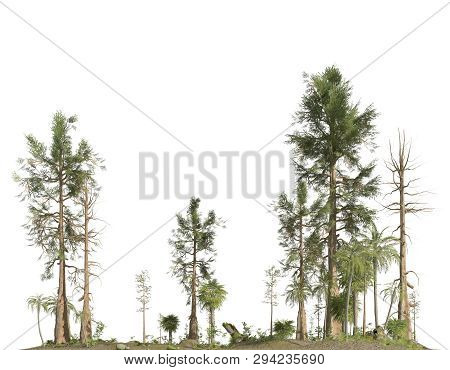 Forest Of The Mesozoic Era Isolated On White Background 3d Illustration