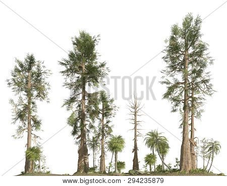 Forest Of The Mesozoic Era Isolated On White Background 3d Illustration