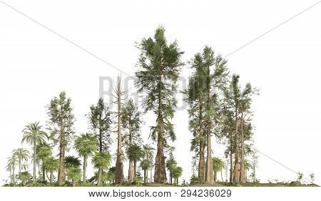 Forest Of The Mesozoic Era Isolated On White Background 3d Illustration