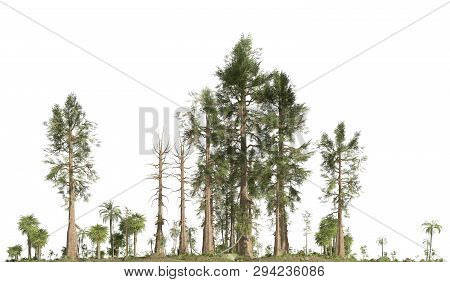 Forest Of The Mesozoic Era Isolated On White Background 3d Illustration