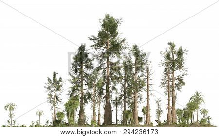 Forest Of The Mesozoic Era Isolated On White Background 3d Illustration