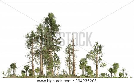 Forest Of The Mesozoic Era Isolated On White Background 3d Illustration