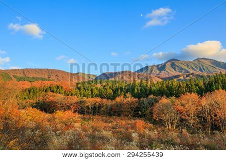 Landscape Of Trees Turning Color In Autumn With High Mountain - Senboku, Akita, Japan