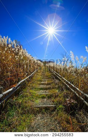 Walkway Uphill With Sunny Blue Sky - Senboku, Akita, Japan