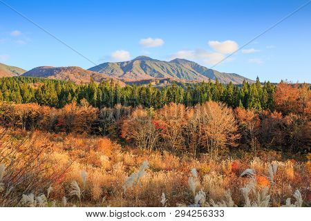 Landscape Of Trees Turning Color In Autumn With High Mountain - Senboku, Akita, Japan