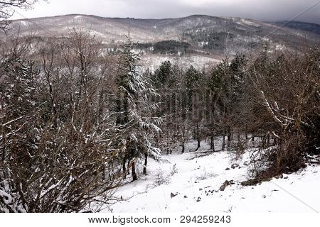 winter landscape of Saracena Valley in Nebrodi Park, Sicily