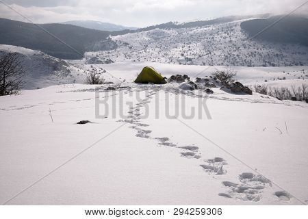 boot traces in the snow lead to a green tent, on background the frozen Trearie Lake in Nebrodi Park, Sicily 