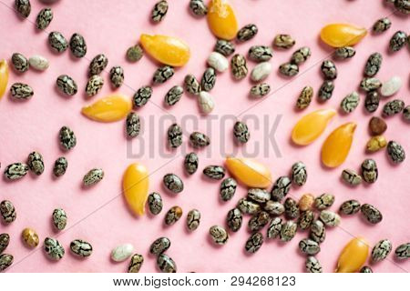 Healthy superfood:  flax seeds, chia seeds and hemp shelled seed on pink background