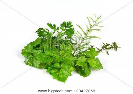 ขึ้นฉ่าย Thyme และโรสแมรี่บนพื้นหลังสีขาว