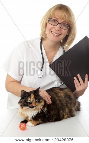 Veterinario con gato