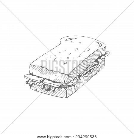 Sandwich Outline Drawing. Vector Sketch. Great For Restaurant Menu Or Banner
