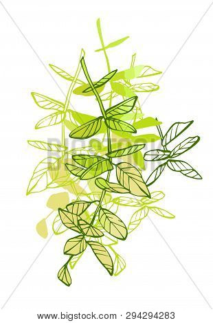 Leaves And Brunches Composition. Hand Drawn Illustration. Fullsize Raster Atrwork.