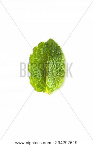 Fresh Mint Isolated On White Background. Leaves For Coktails Or Fresh Fruits. Summer Tempalte For De
