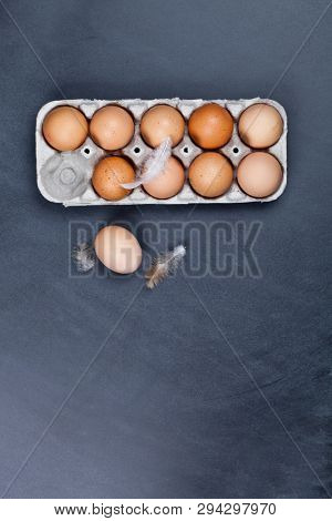 Farm chicken eggs in cardboard container and feathers on black background. Top view with copy space.