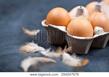 Farm chicken eggs in cardboard container and feathers closeup on black background. 
