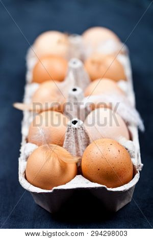 Farm chicken eggs in cardboard container and feathers closeup on black background. 