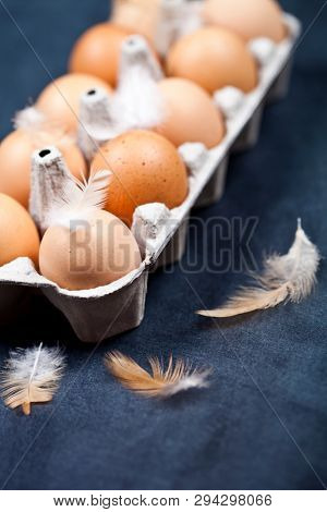 Farm chicken eggs in cardboard container and feathers closeup on black background. 