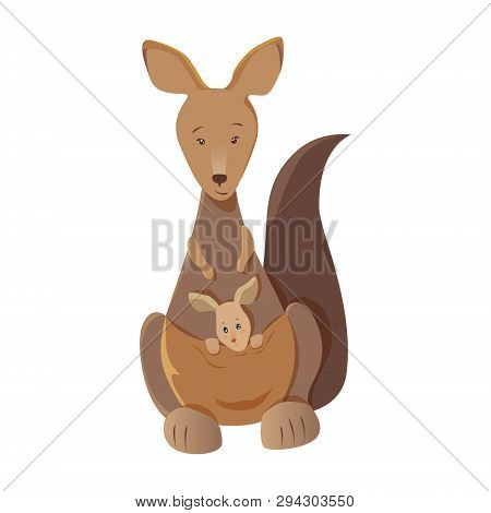 Mother Kangaroo With Joey In The Pouch Isolated On White Background