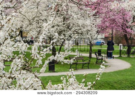 City Park