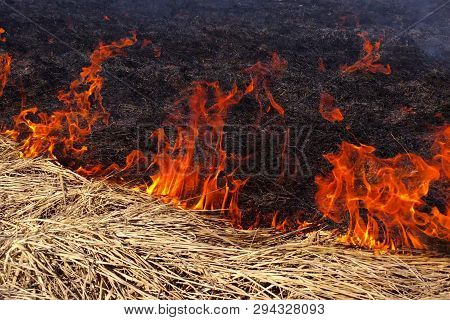 Fire Dry Grass In The Field. The Burning Flares Up Dangerously.