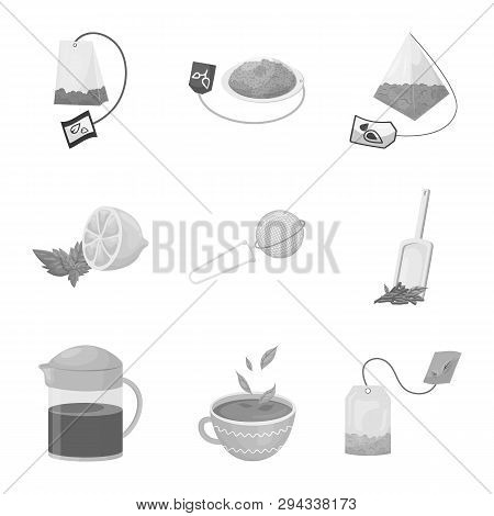 Vector Design Of Green And Black  Icon. Set Of Green And Organic Stock Vector Illustration.