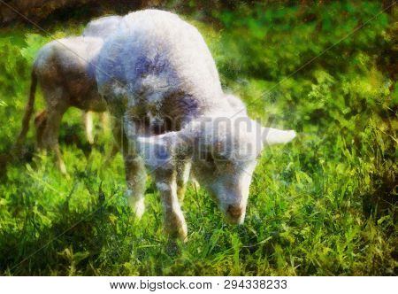 Little Lambs Grazing On A Beautiful Green Meadow With Dandelion. Computer Painting Effect.