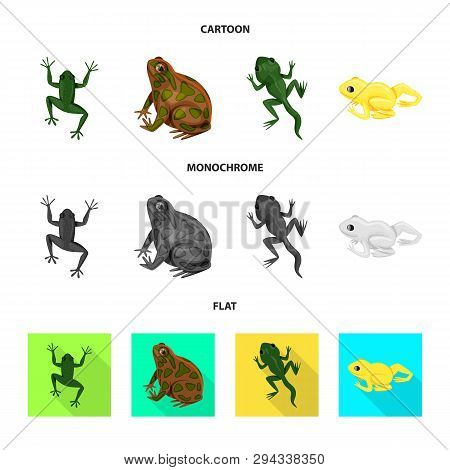 Vector Design Of Wildlife And Bog Symbol. Collection Of Wildlife And Reptile Vector Icon For Stock.