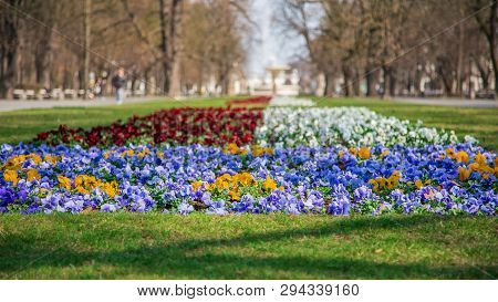 Warsaw, Poland - April 3, 2019: Beautiful Saxon Garden, Park With Red, Blue And White Flowers.