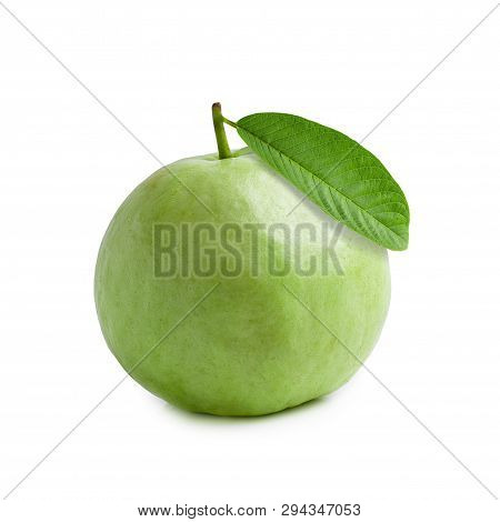 Guava Fruit Isolated On A White Background.