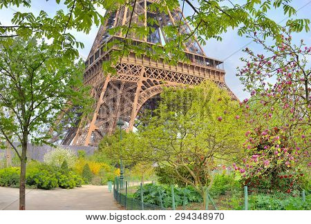 Parisian Garden With Tree Blosoming In Spring And Part Of Eiffel Tower Background