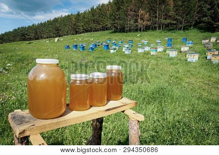 A Lot Of Hives Are Standing In The Middle Of A Green Lawn Near The Forest. Production Of Environment