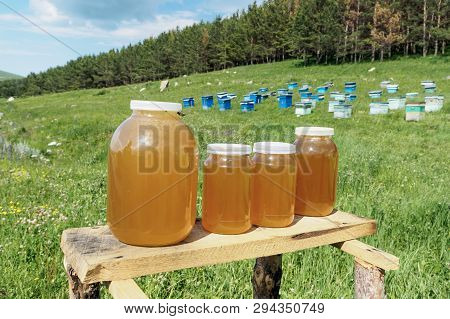 A Lot Of Hives Are Standing In The Middle Of A Green Lawn Near The Forest. Production Of Environment