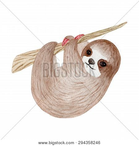 Watercolor Cute Sloth On The Palm Tree. Tropical Animal. Clipart Isolated On White Background. Hand 