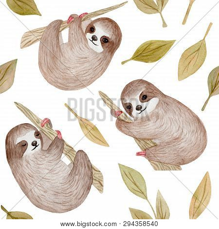 Watercolor Cute Sloth On The Palm Tree. Tropical Animal. Clipart Isolated On White Background. Hand 