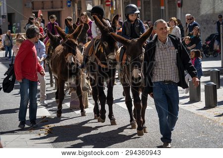 Reus, Spain. March 2019: Kids Riding Donkeys And Mules Around The City Centre In The Tres Tombs Fest