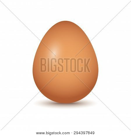 Egg With Shadow Isolated On White Background. Vector Illustration