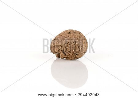One Whole Brown Clay Pebbles (leca) Isolated On White Background