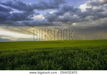Storm Bubble Clouds, Mammatus Clouds Over The Beautiful Prairies
