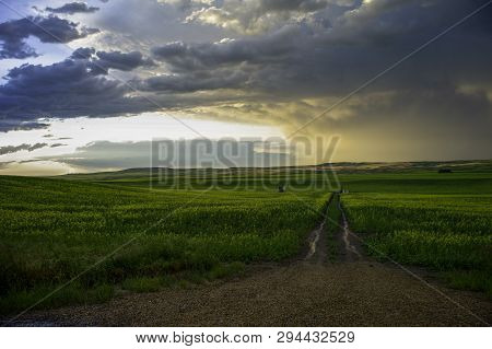 Storm Bubble Clouds, Mammatus Clouds Over The Beautiful Prairies