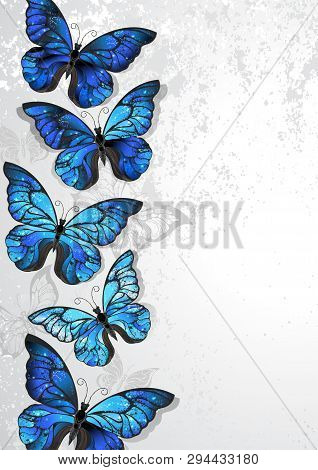 Design With Artistically Painted, Butterflies Morpho With Iridescent Blue Wings On A Gray Textural B