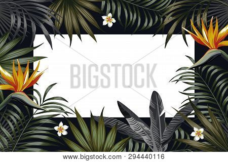 Vector Night Tropical Design For Flyer Or Banner. Vacation Summer Poster With Tropical Flower And Le